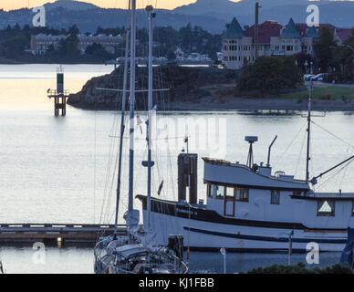 Un rimorchiatore style imbarcazione da diporto si trova nel mezzo del porto al tramonto in Victoria, B.C., Canada. Foto Stock