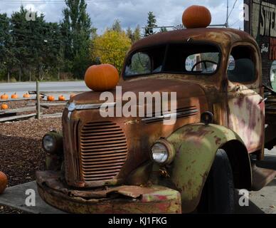 Un mercato locale la visualizzazione di zucche accanto all'autostrada in Salmon Arm, B.C. Foto Stock