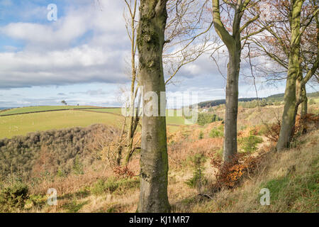 Confine gallese paese vicino al piccolo abitato rurale di Clun, Shropshire, Inghilterra, Regno Unito Foto Stock
