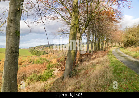 Confine gallese paese vicino al piccolo abitato rurale di Clun, Shropshire, Inghilterra, Regno Unito Foto Stock