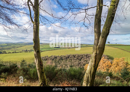 Confine gallese paese vicino al piccolo abitato rurale di Clun, Shropshire, Inghilterra, Regno Unito Foto Stock