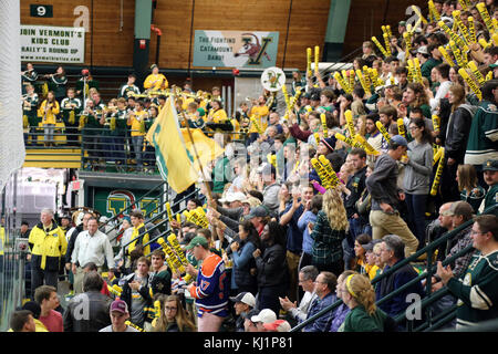 Appassionati di uvm maschile di hockey su ghiaccio, Burlington, VT, Stati Uniti d'America Foto Stock