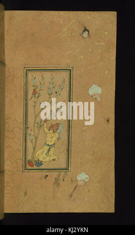- Iraniano giovane uomo suonare il flauto con il canto degli uccelli appollaiato in un fiorente Tree - Walters W65324B - Pagina completa Foto Stock