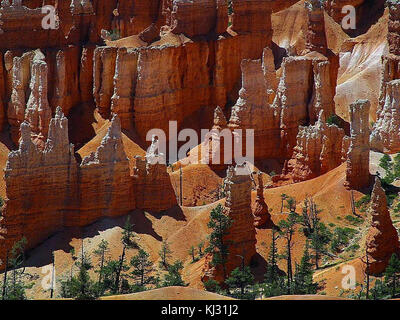 Gli hoodoos arancioni del Bryce Canyon nello Utah sono formazioni rocciose uniche create dall'erosione nel paesaggio desertico della regione. Queste strutture naturali sono una caratteristica importante della bellezza geologica e paesaggistica del parco. Foto Stock