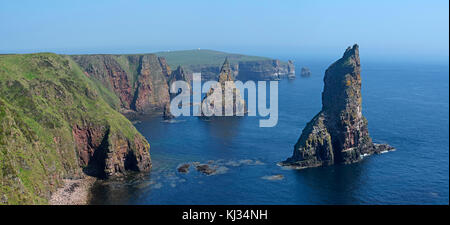 Duncansby pile, pinnacoli di roccia a sud di testa duncansby vicino a John O' semole, caithness, highland, Highlands scozzesi, Scotland, Regno Unito Foto Stock