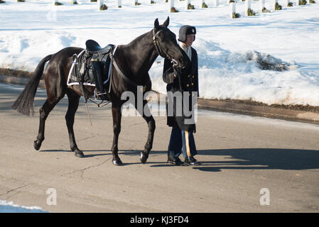 Neve in Al Cimitero Nazionale di Arlington (24649049766) Foto Stock