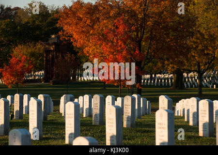 In autunno il Cimitero Nazionale di Arlington (30739572326) Foto Stock