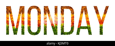 Parola lunedì scritto con foglie bianco sfondo isolato, banner per la stampa, illustrazione creativa di foglie colorate. Foto Stock