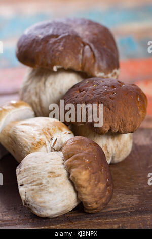 Wild materie commestibili funghi Boletus edulis, gustoso ingrediente per molti piatti vegetariani Foto Stock