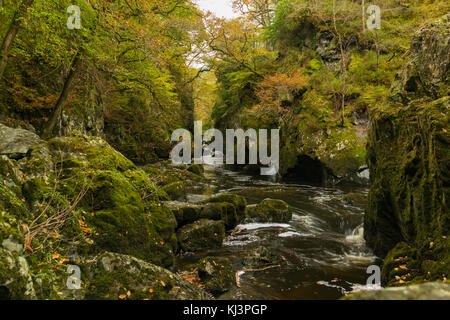 Fairy Glen a Betwys y, COED SNOWDONIA, il Galles del nord. Foto Stock