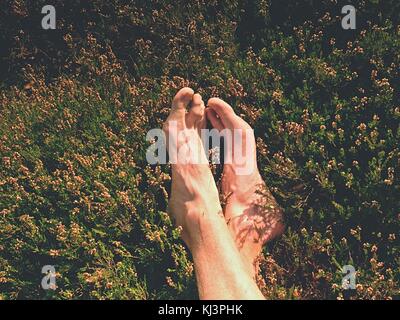 Gambe maschio su asciutto heather bush. gambe stanche sul picco roccioso bove paesaggio. pura pelle rosa chiaro, chiodi. heather ramoscelli con delicata rosa fiori viola. Foto Stock