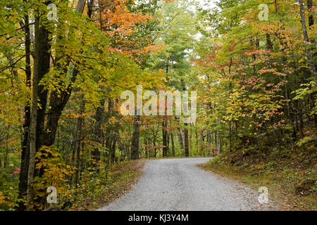 Fogliame di autunno ricco lungo la strada di montagna fuori Cades Cove, Great Smoky Mountains National Park, Tennessee Foto Stock
