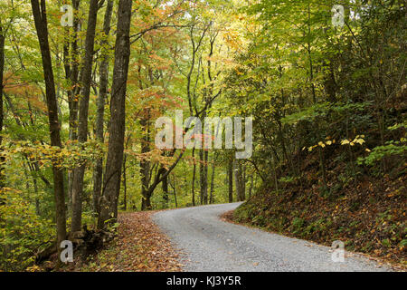 Fogliame di autunno ricco lungo la strada di montagna fuori Cades Cove, Great Smoky Mountains National Park, Tennessee Foto Stock