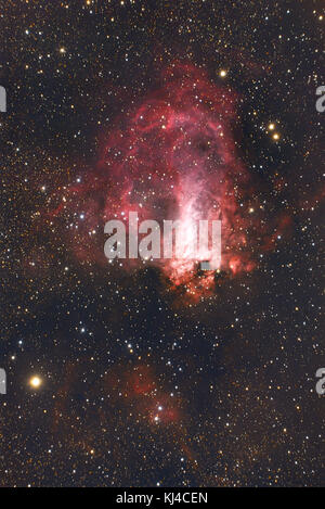 L'Albero della Vita M17 Nebulosa Omega Foto Stock