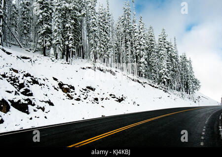 Dunraven pass road nel Parco Nazionale di Yellowstone da un tempo nevoso. Pini e abeti sono coperti di neve Foto Stock