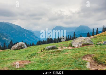 Rusinowa glade, bellissimo luogo in polacco monti Tatra, Polonia Foto Stock