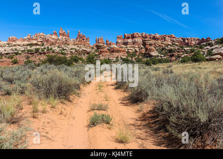 La trazione a quattro ruote motrici Road nel quartiere di aghi, Canyonlands Foto Stock