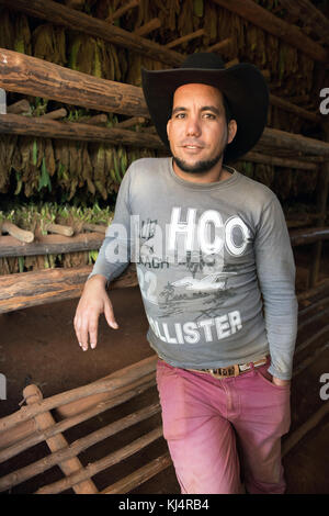 Coltivatore di tabacco, Pinar Del Rio, Cuba Foto Stock