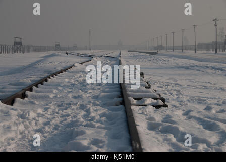 Campo di concentramento di Auschwitz - Linea ferroviaria in lontananza verso il cancello principale che illustra le enormi dimensioni del camp Foto Stock