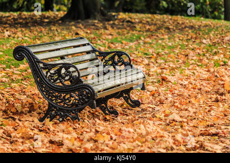 Bella scena autunnale con una panca vuota del parco circondata da foglie cadute. Foto Stock