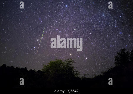 Meteor doccia e cielo stellato notte su Payson, Arizona Foto Stock