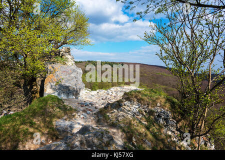 Abbandonato del medievale castello di Pajstun vicino a Bratislava (Slovacchia) Foto Stock