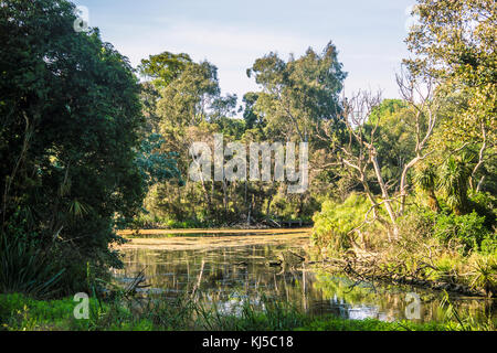 Un angolo del lago ornamentale in Royal Botanic Gardens Melbourne Foto Stock