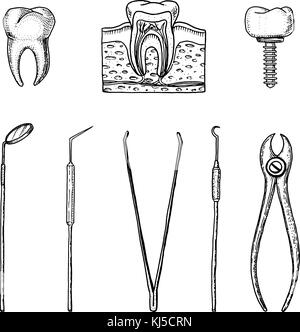 Attrezzature gli strumenti del dentista per dello smalto dei denti, impostare medico. la cavità orale pulire o malati. salute o carie umano. incisi disegnati a mano nel vecchio o vintage sketch. medicina, cura per cavità, l'impianto. Illustrazione Vettoriale