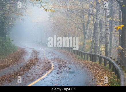 Strada rurale, nella nebbia autunnale del Massachusetts, STATI UNITI D'AMERICA. Foto Stock