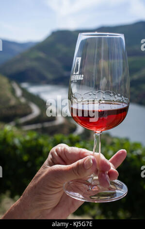 Degustazione di Porto Tawny, Sandeman, Quinta do Seixo cantina, Rio Douro, Portogallo Foto Stock