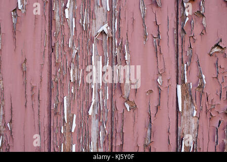 La texture di legno antico con incrinato la vernice di colore rosa Foto Stock