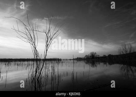 Struttura scheletrica su un lago al tramonto, con acqua bella riflessioni e i toni tenui del cielo Foto Stock