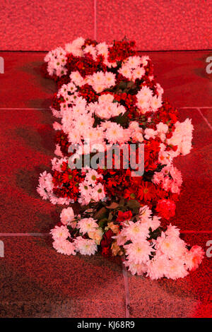 Riga, Lettonia, 17 novembre 2017: vista notturna del monumento della libertà brivibas piemineklis , decorate con fiori freschi e gli effetti di luce. light festival staro riga trasmissione via IR di riga celebrando 99th anniversario dell indipendenza. Foto Stock