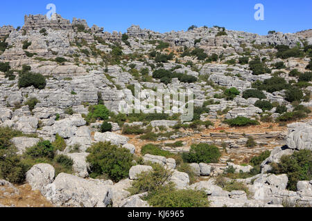 Vista panoramica del carso formazioni rocciose di El Torcal de Antequera riserva naturale, situato a sud della città di Antequera, Spagna Foto Stock