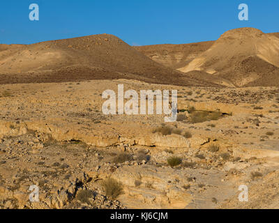 Vista in elevazione del Deserto Deserto della Giudea, Mar Morto, Regione, Israele Foto Stock