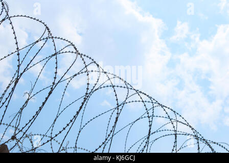 Recinzioni protettive appositamente oggetto protetto di filo spinato. Stampigliato il filo spinato. Foto Stock