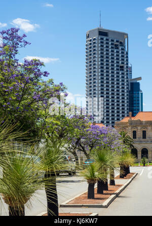 Alberi di jacaranda in piena fioritura ed erba alberi che fiancheggiano il Parlamento luogo in Perth Western Australia. Foto Stock