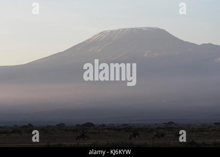 Il Monte Kilimanjaro come visto da di Amboseli in Kenya Foto Stock