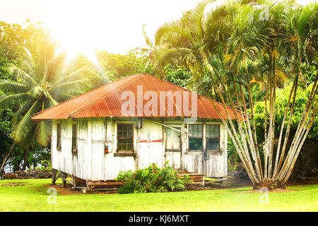 Vecchia casa in legno su hawaii circondato da alberi di palma Foto Stock