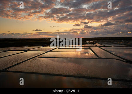 Sunset over saline di Guerande nella Loire-Atlantique Bretagna Francia Foto Stock