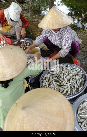 Il mercato asiatico venditori pesce vending Foto Stock