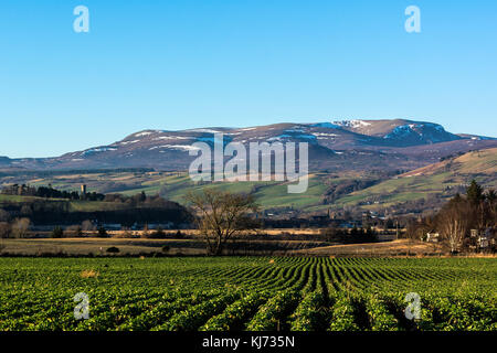 Ben Wyvis, Dingwall, Ross shire, Scotland Regno kingombadicaul Foto Stock