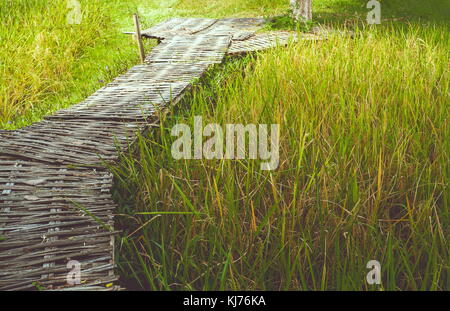 Passerella di bambù e campi di riso Foto Stock