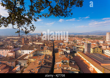 Lucca da Torre Guinigi. Punto di riferimento italiano. Vista aerea di Lucca. Foto Stock