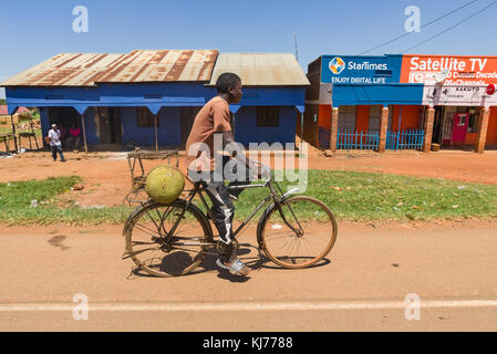 Maschio ciclista africano equitazione sulla bicicletta che trasportano grandi jackfruit (Artocarpus heterophyllus) sul retro di mercato, Uganda, Africa Foto Stock