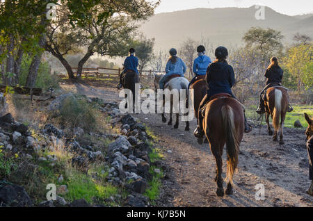 I turisti a cavallo, Galilea, Israele Foto Stock