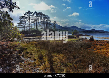La costa vicino Lauragh sulla penisola di Beara, Contea di Kerry, Irlanda - John Gollop Foto Stock