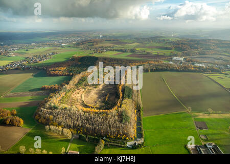 Montagne Halde Beythal, Hürtgenwald, riserva naturale, area urbana Düren nel distretto di Berzbuir-Kufferath, ex vasca di insediamento di lavorazione del minerale, lea Foto Stock