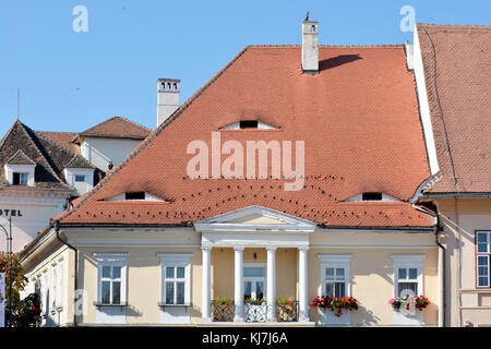 Occhio di Sibiu, un piccolo occhio attico sagomato in Windows sui tetti di edifici vari, nota come la città degli occhi a Sibiu in Romania. Foto Stock