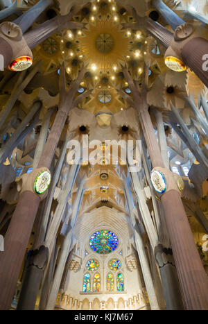 Barcellona, Spagna - 11 Nov 2016: Spettacolare interno della Barcellona Sagrada Familia. Foto Stock